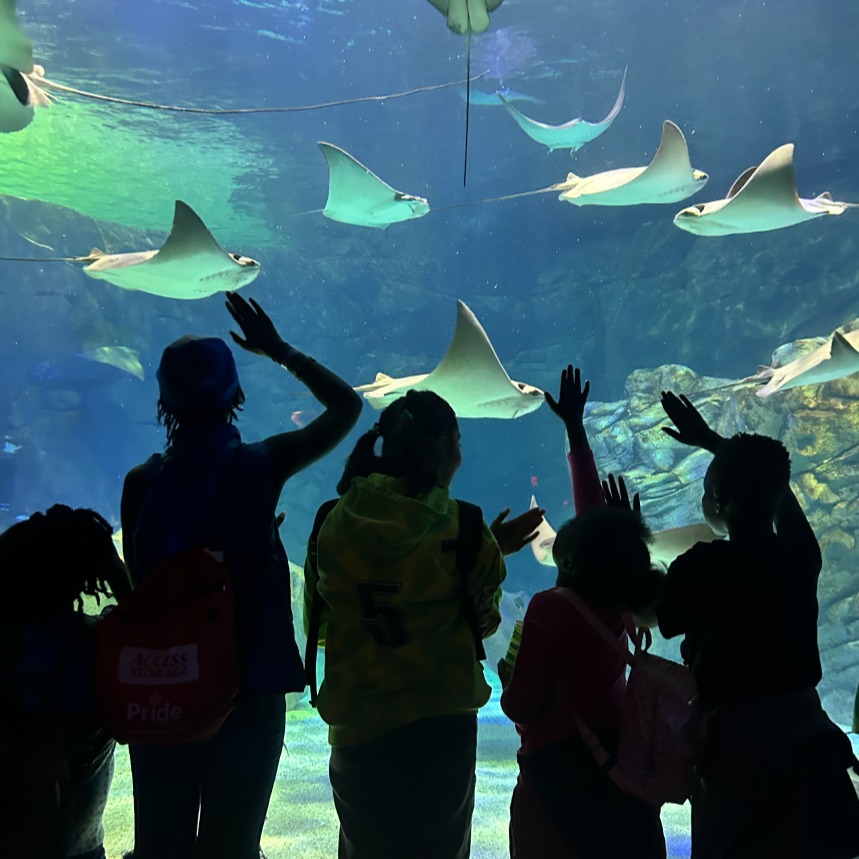 For a child new to Canada, a summer field trip can mean SO much.

Mio, Maisha’s young son, took part in Christie’s Summer Camp last year, including a field trip to Ripley’s Aquarium.

For a child new to Canada, experiences like that can be unforgettable: they are chances to explore, play, build friendships and feel a sense of belonging in a new city.

Please help us raise $10,000 to support summer staffing for Christie children and youth. Link in Bio. 
 
#ChristieKids #SummerCamp #RefugeeFamilies #Belonging #TorontoNonprofits